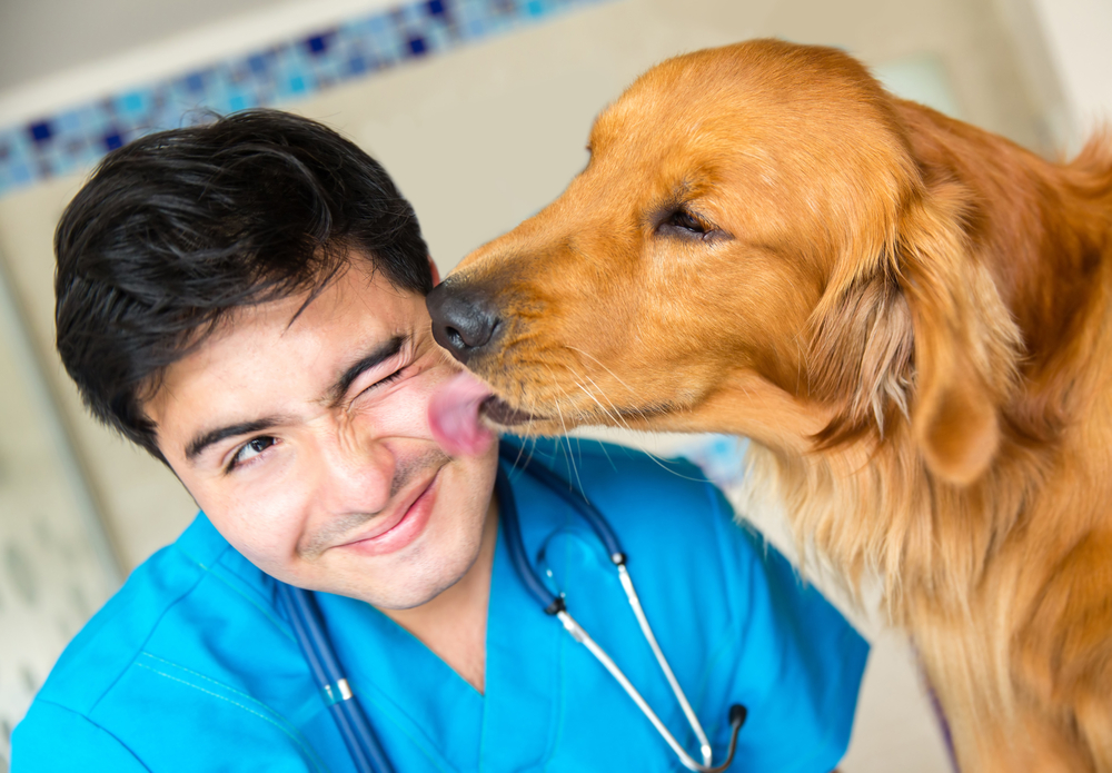 Cute dog giving a kiss to the vet after a checkup