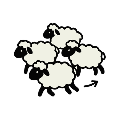sheep